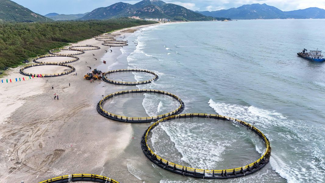 湛江灣重力式圓形深海網(wǎng)箱項(xiàng)目